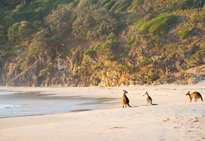 Cape Raoul