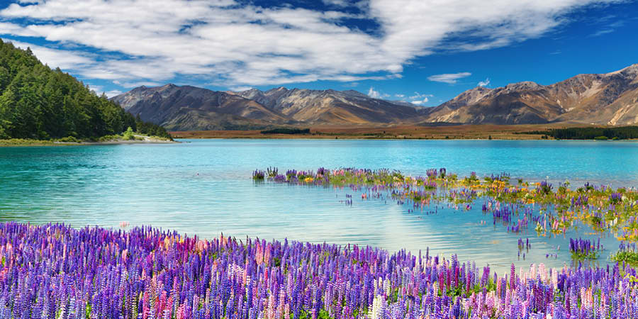 Driving into Mount Cook National Park