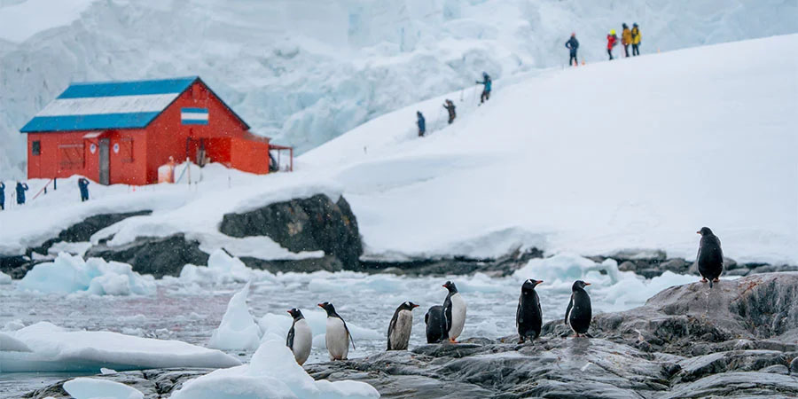Unforgettable expeditions and activities