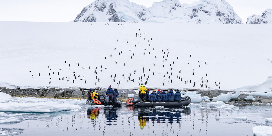 Encountering Antarctica’s wildlife aboard Zodiac boats