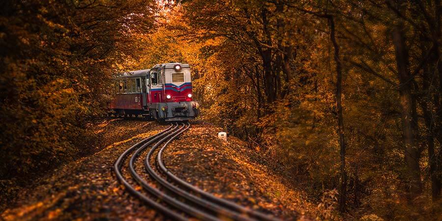 Children Railway Budapest Children Railway Budapest
