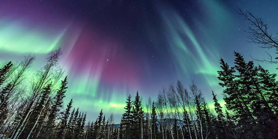 Northern Lights Northern Lights