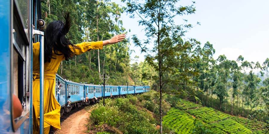 Train ride through Sri Lanka tea plantations Train ride through Sri Lanka tea plantations