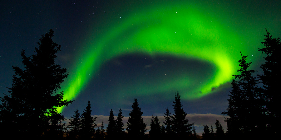 The Northern Lights Over The Forest The Northern Lights Over The Forest