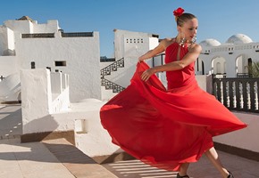 Authentic Flamenco in a Private Patio/House with Tapas Dinner