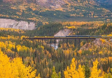 Trestle Bridge, Denali National Park Trestle Bridge, Denali National Park
