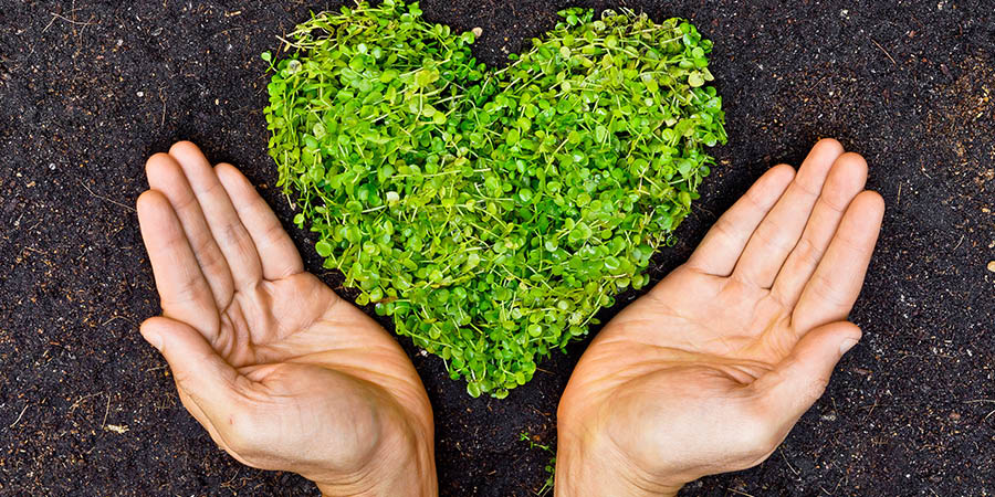 Hands holding green heart Hands holding green heart