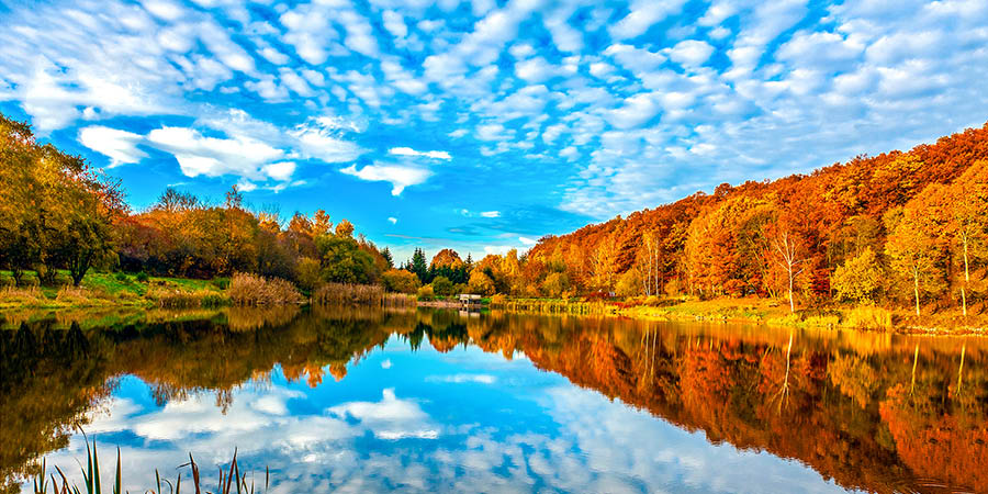 Autumn forest lake Autumn forest lake