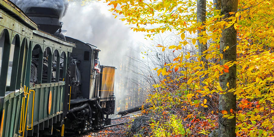 Cass Scenic Railroad Cass Scenic Railroad