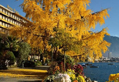 Royal Plaza Montreux and Spa