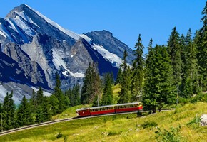 Schynige Platte Mountain Excursion