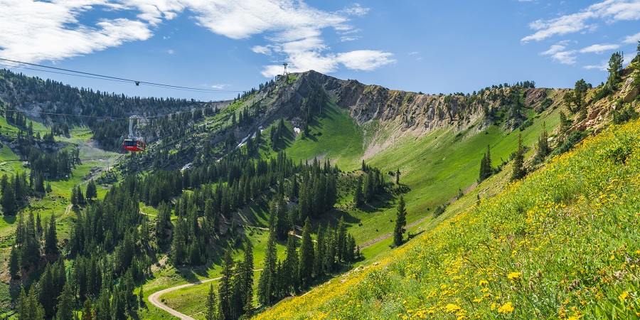 Snowbird Tram