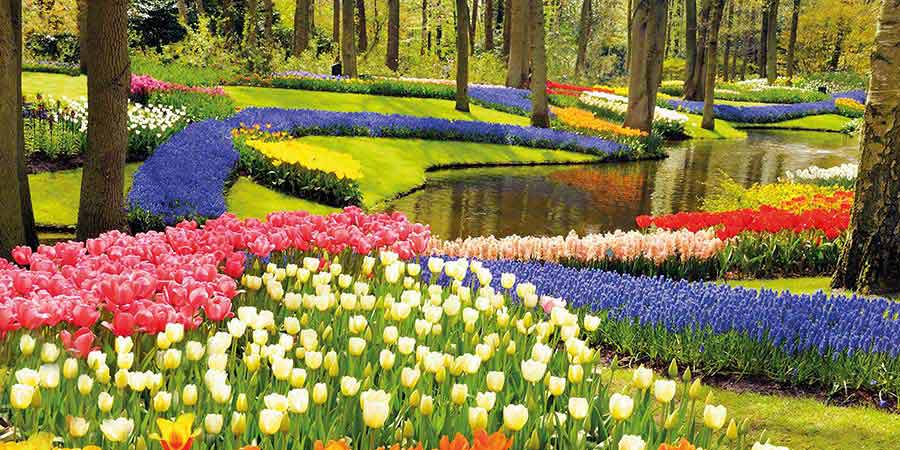 Witnessing spring’s colors at Keukenhof Gardens
