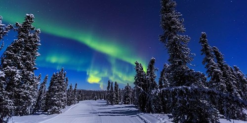 Northern Lights Alaska Adobestock 284436369 900X450
