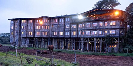 The Treetops Lodge, Nyeri