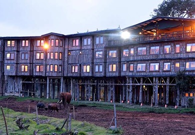 The Treetops Lodge, Nyeri