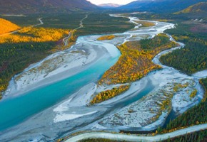 Denali National Park
