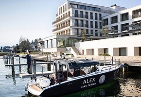 Hotel Alex Lake