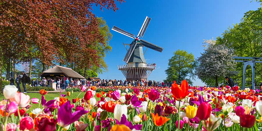 Keukenhof Gardens