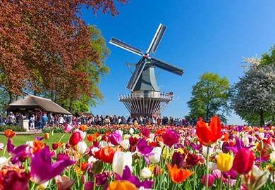 Keukenhof Gardens Keukenhof Gardens