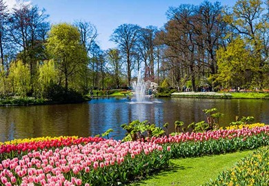 Keukenof Gardens Keukenof Gardens