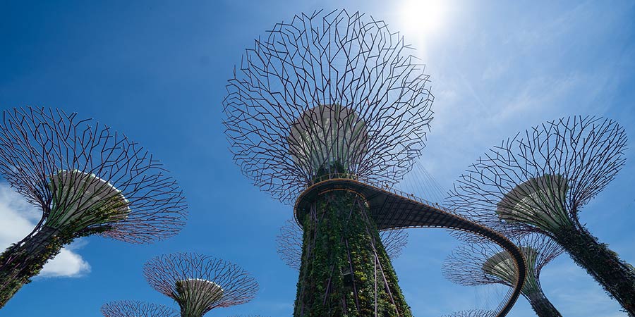 Marveling at Singapore’s spectacular Gardens by the Bay