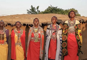 Kenya Safari