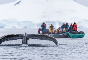 Antarctica Cruise & Wonders of Brazil