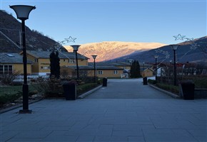 Brigitte